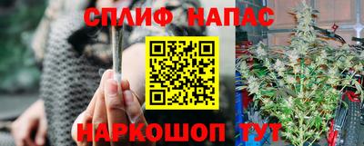 гидропоника Аша