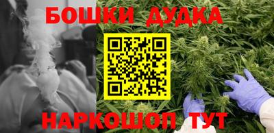 гидропоника Аша