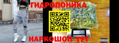 гидропоника Аша