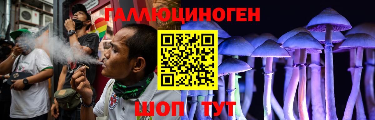 Псилоцибиновые грибы Psilocybine cubensis Елец